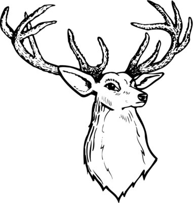 DEER008